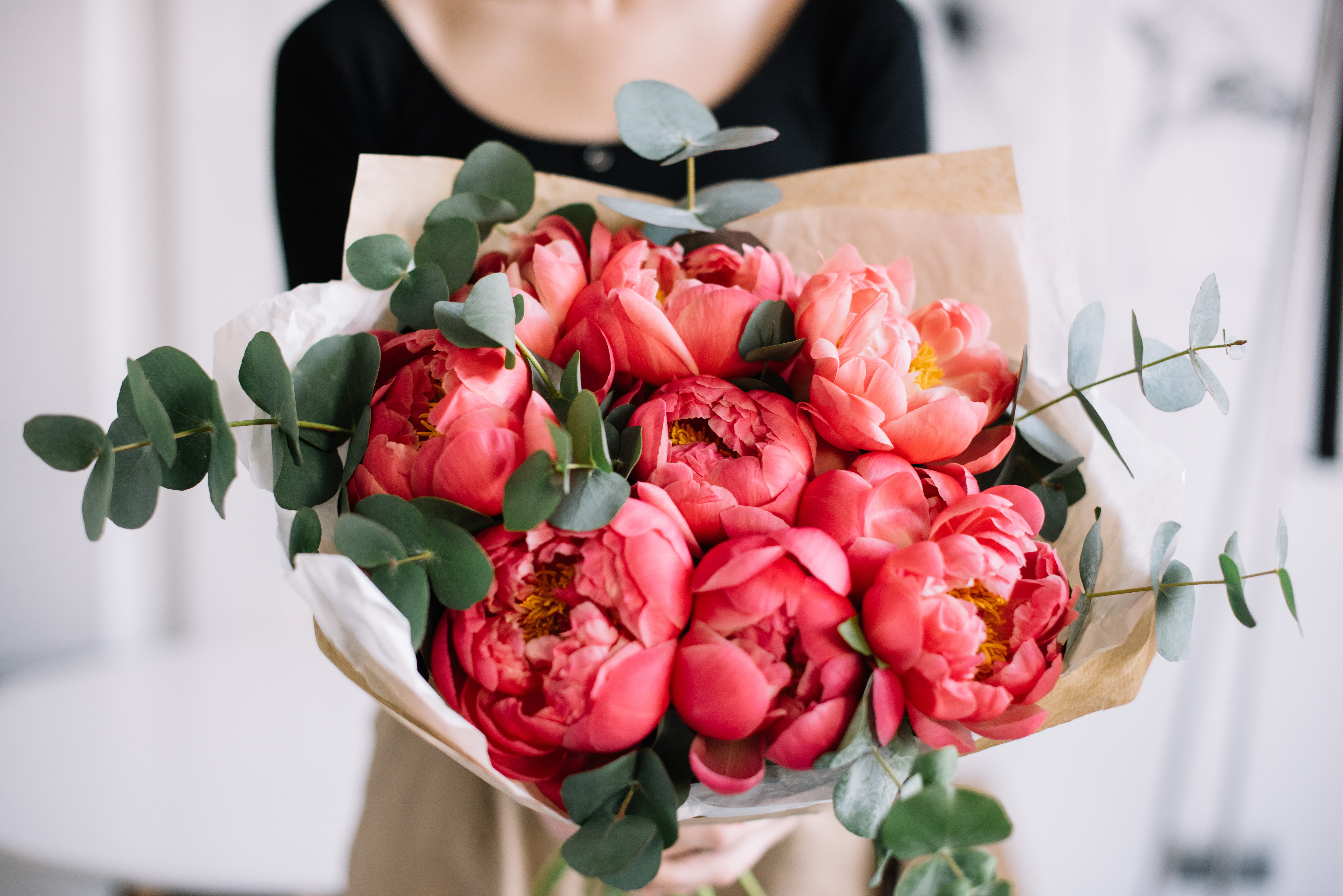 Coral Tulips