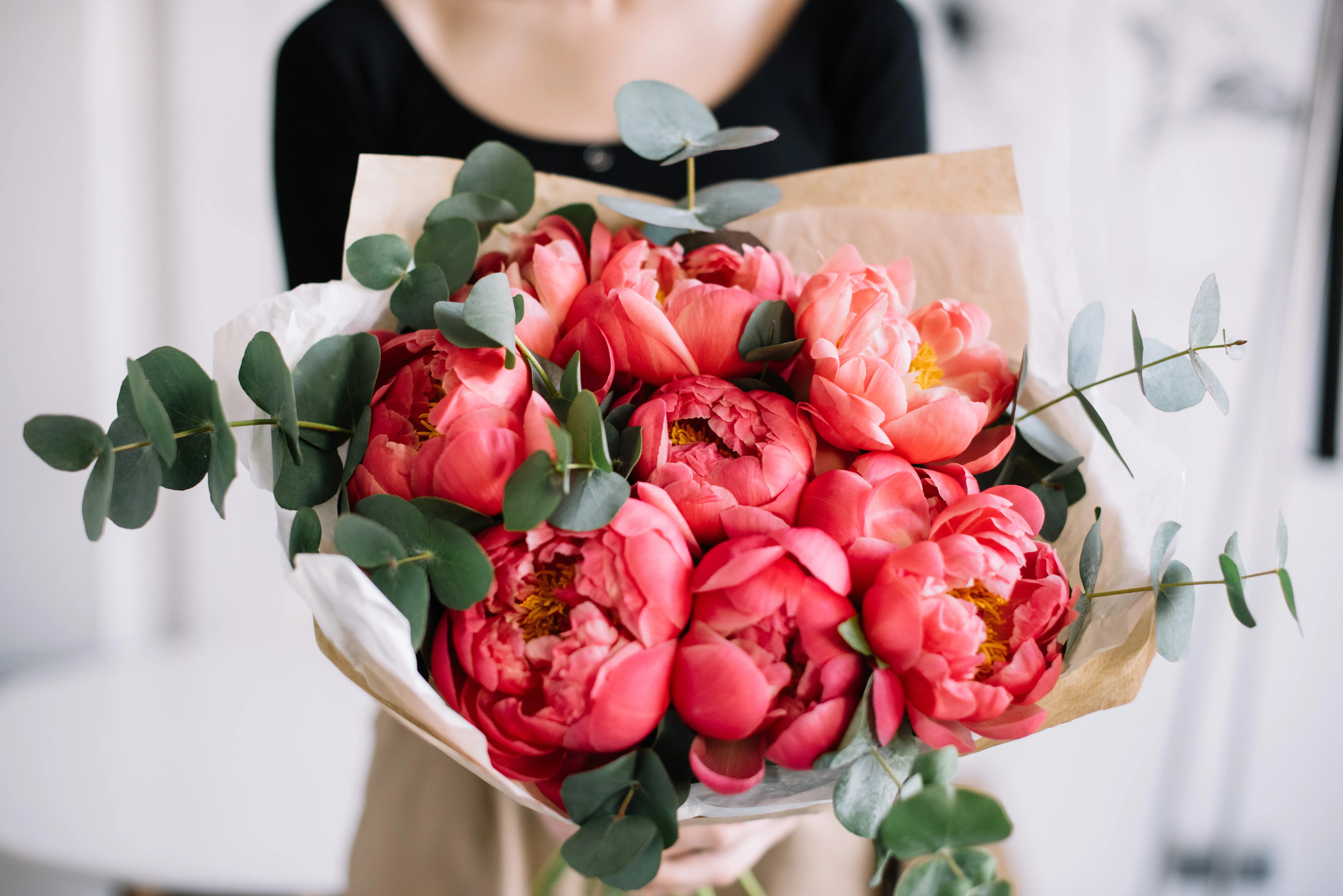 Coral Tulips