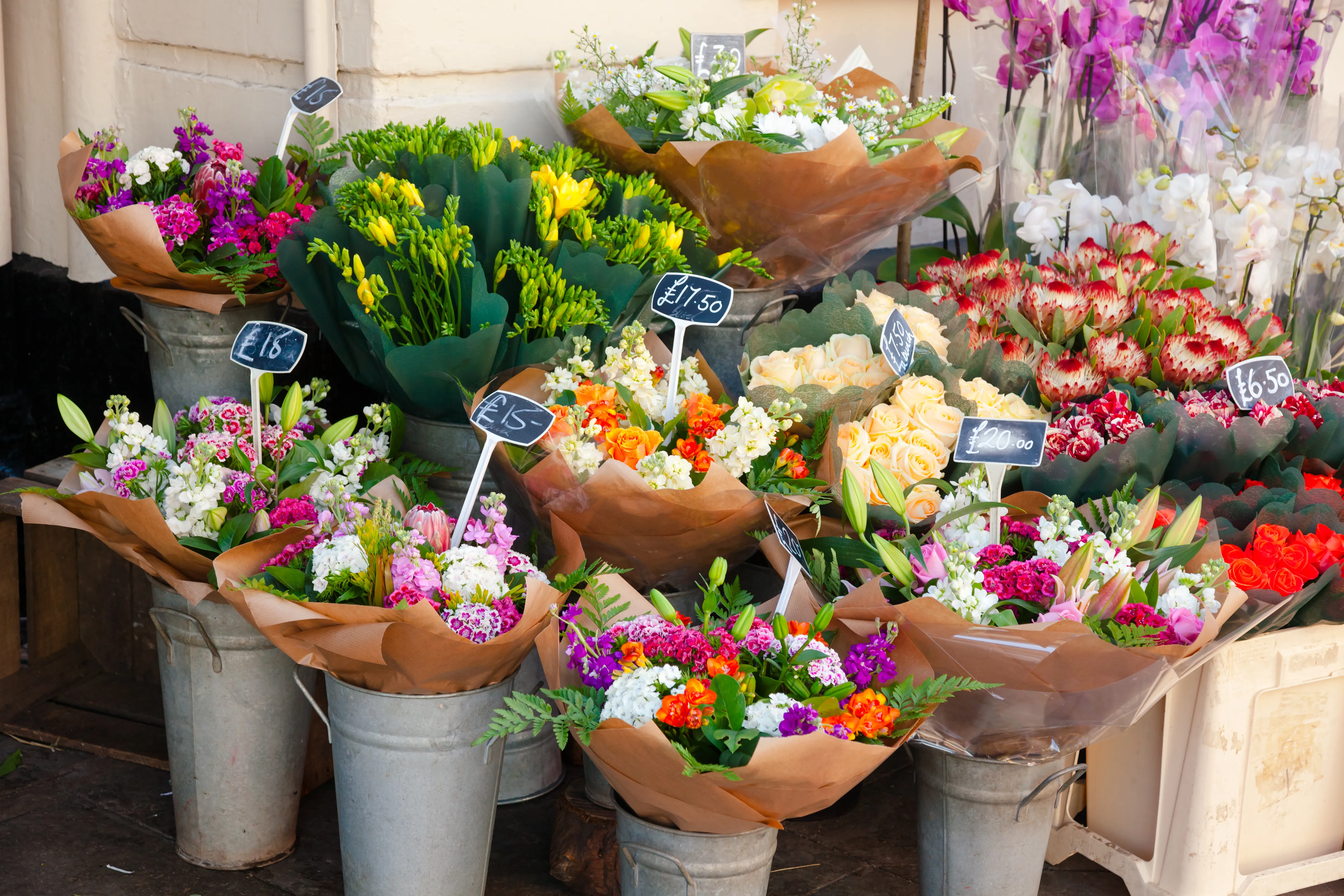 Seasonal Blooms for Birthdays and Everyday Celebrations