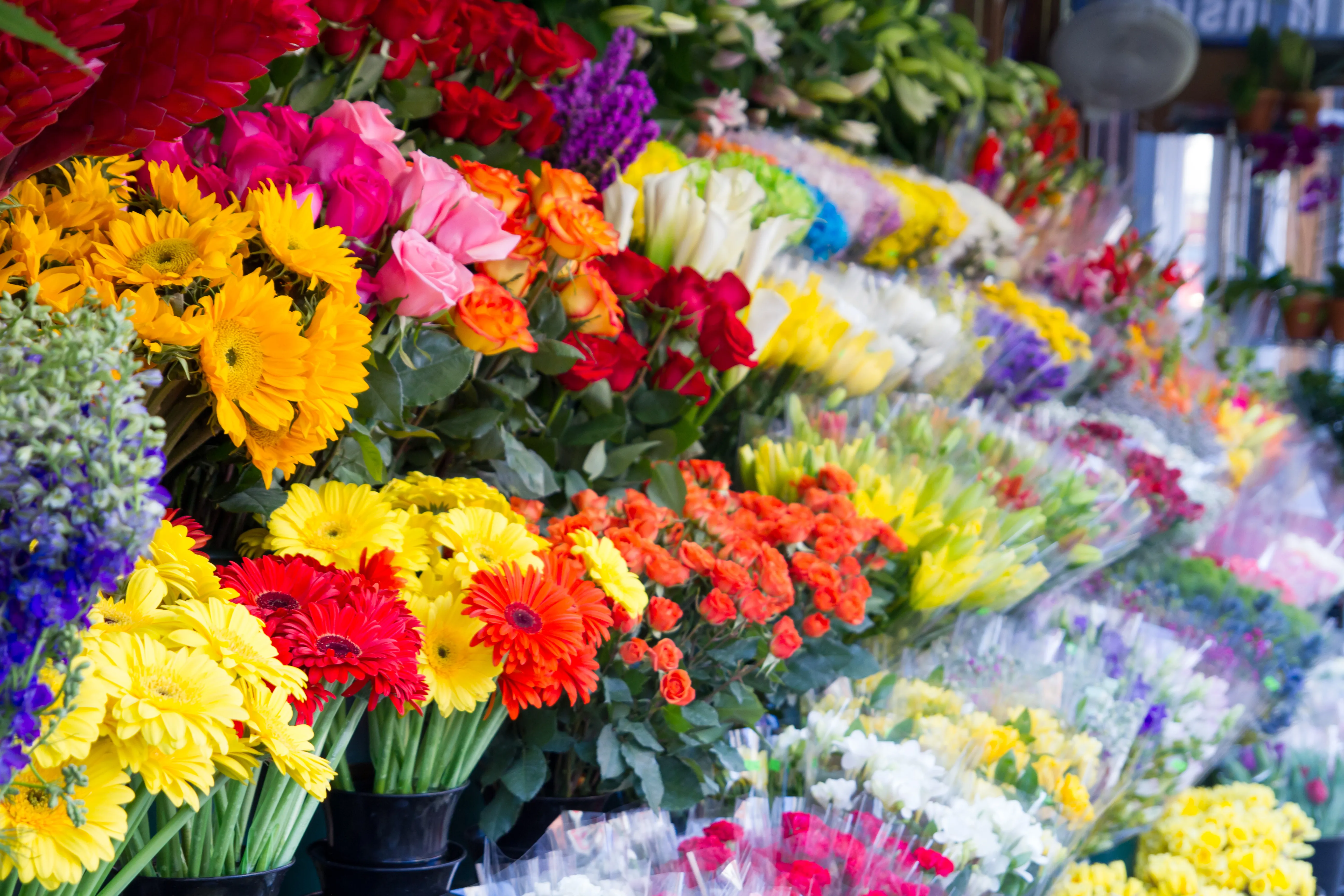 Fresh flowers for polished spaces.